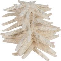 105864 ΑΣΤΕΡΙΕΣ 12ΤΕΜ FINGER 3-  ΣΕ ΔΙΧΤΥ